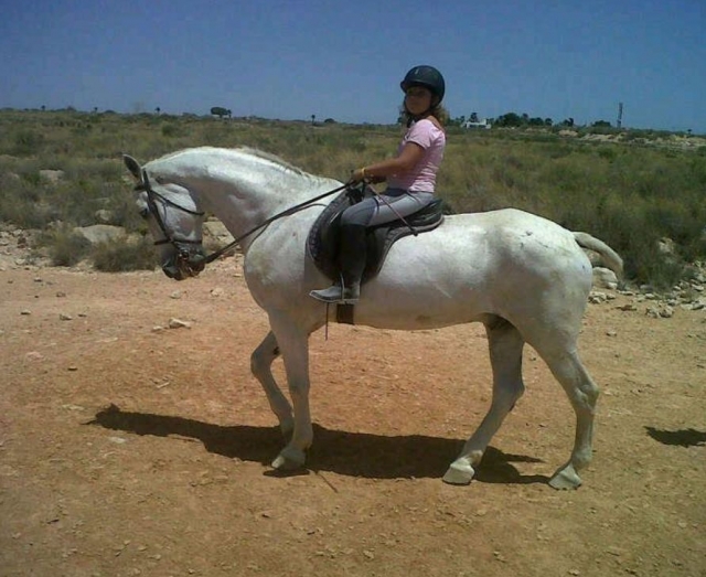  Climbing the White horse